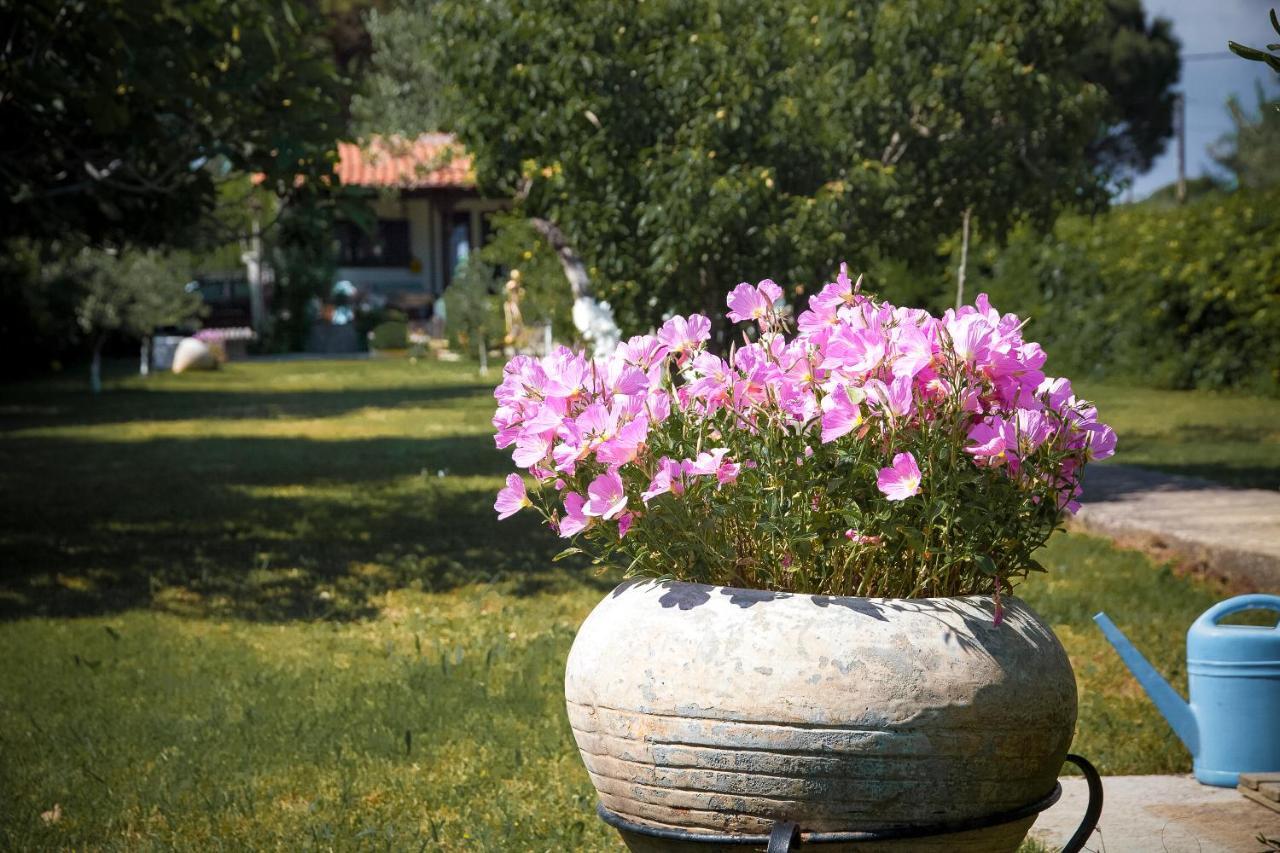 Vila Estate Irene Alexandrupoli Exteriér fotografie